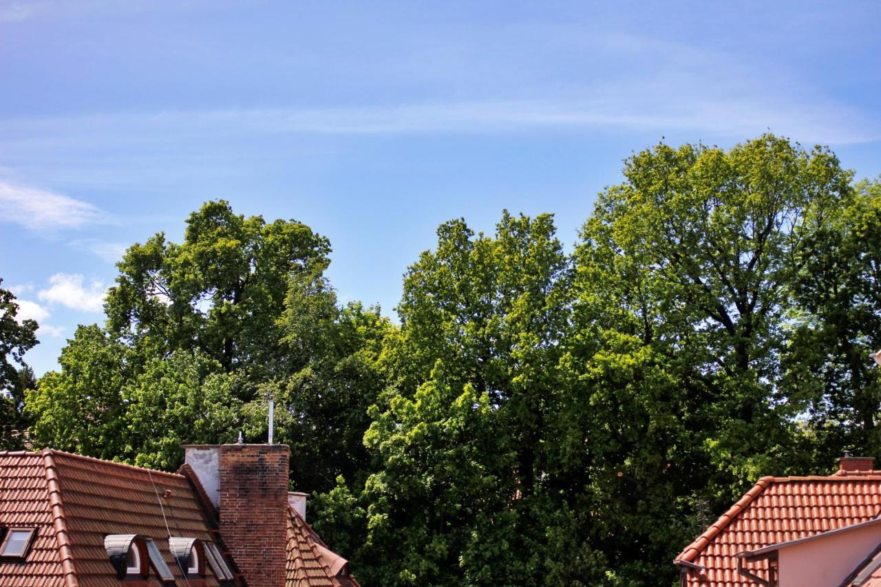 On The Roof * Sopot